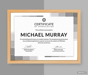 Formal Certificate of Appreciation Template