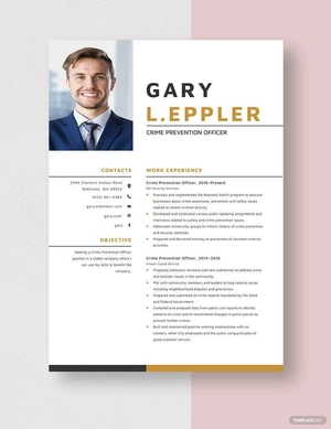 Crime Prevention Officer Resume