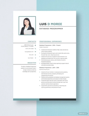 Database Programmer Resume