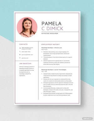 Datastage Developer Resume