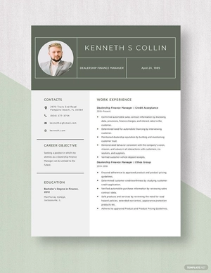 Dealership Finance Manager Resume
