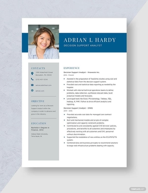 Decision Support Analyst Resume
