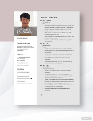 Delivery Driver Resume