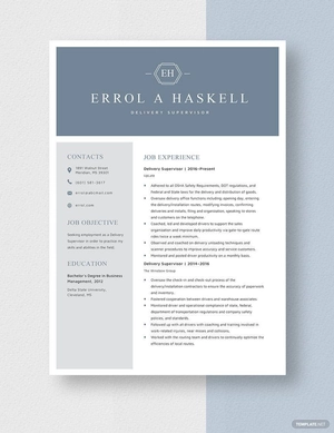 Delivery Supervisor Resume