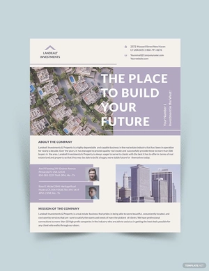 Land Real Estate Investor Flyer Template Land Real Estate Investor Flyer Template