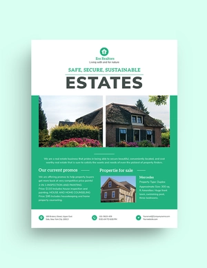 Professional Home Inspector Flyer Template