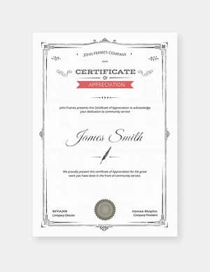 Professional Certification of Appreciation Template