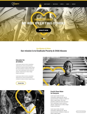 NGO WordPress Theme/Template