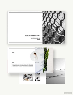 Modern Power Point Presentation Template