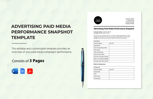 Advertising Paid Media Performance Snapshot Template