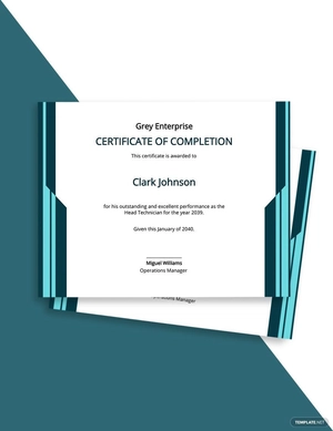 Technician Excellence Certificate Template
