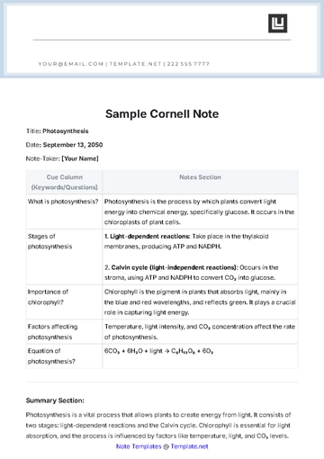 Free Sample Cornell Note Template to Edit Online