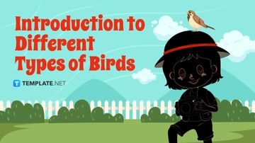 Free Introduction to Different Types of Birds Template to Edit Online