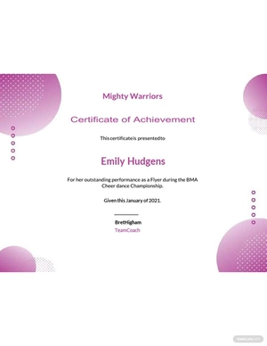 Cheerleading Certificate Of Achievement Template