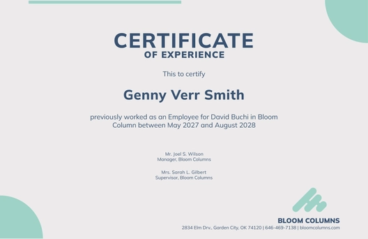 Company Experience Certificate Template
