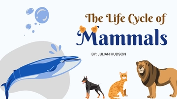 Free Animals Life Cycle Class Presentation Template to Edit Online