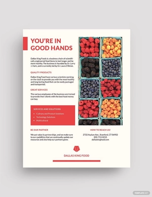 Editable Business Datasheet Template