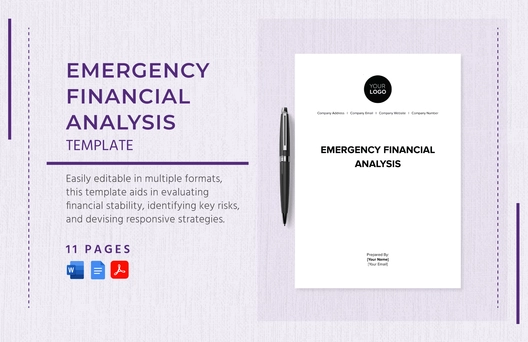 Emergency Financial Analysis Template