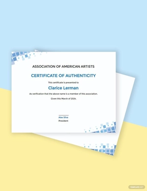 Modern Artist Authenticity Certificate Template