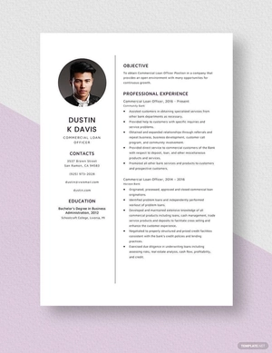 Commercial Loan Officer Resume
