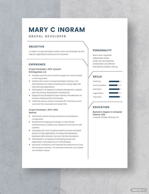 Drupal Developer Resume