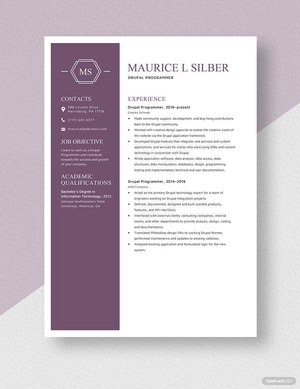 Drupal Programmer Resume