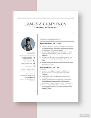 Employment Manager Resume