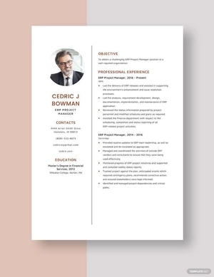 ERP Project Manager Resume