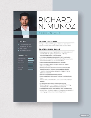 Accountant Resume