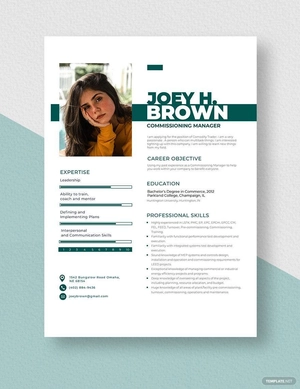 Commissioning Manager Resume