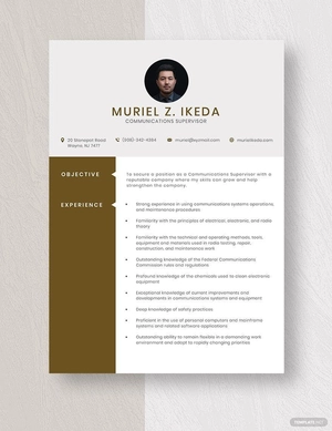 Communications Supervisor Resume