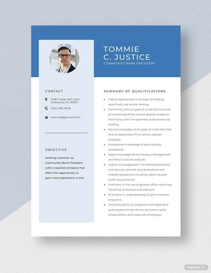 Community Bank President Resume