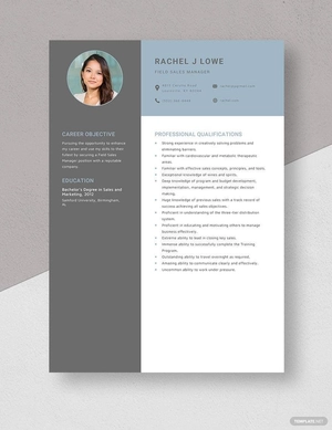 Field Sales Manager Resume