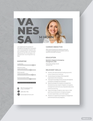 Emergency Management Consultant Resume