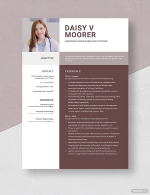 Emergency Room Nurse Practitioner Resume