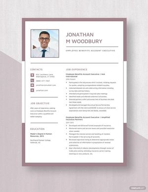 Employee Benefits Account Executive Resume