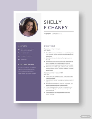Factory Supervisor Resume