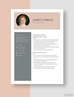 File Room Clerk Resume