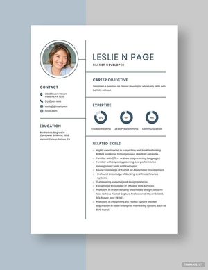 Filenet Developer Resume