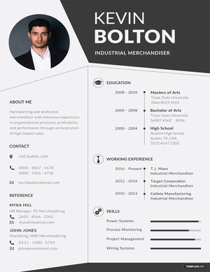 Merchandiser Resume