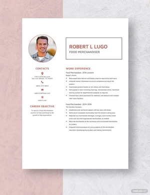 Food Merchandiser Resume