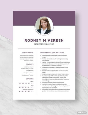Force Protection Officer Resume