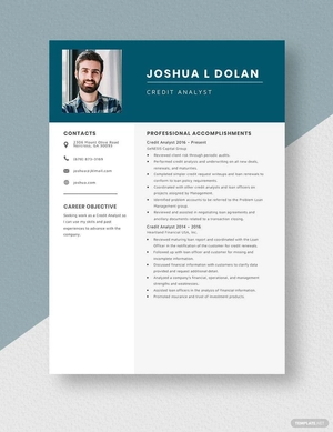 Credit Analyst Resume