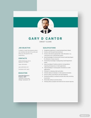 Credit Clerk Resume