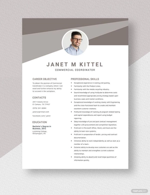 Commercial Coordinator Resume