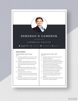 Commercial Director Resume