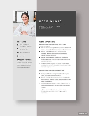 Commercial Insurance Underwriter Resume