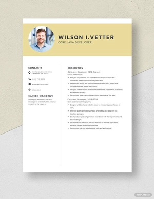 Core Java Developer Resume