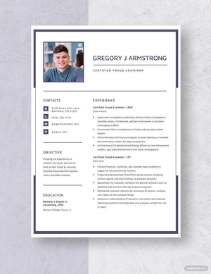 Certified Fraud Examiner Resume