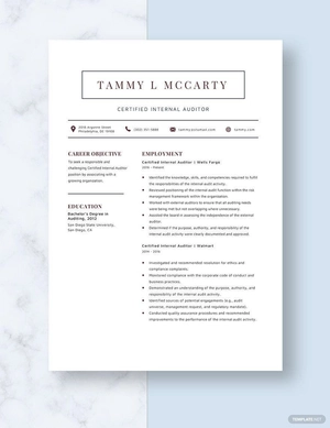Certified Internal Auditor Resume
